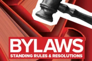 Cover the governance document of the Bylaws, Standing Rules & Resolutions. The graphic features the document name as well as a gavel.